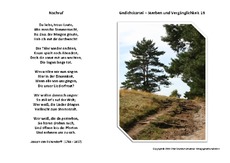 Nachruf-Eichendorff.pdf